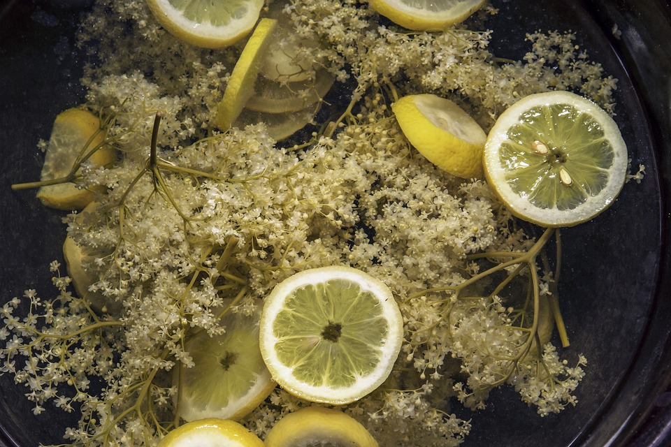 Domač ingverjev sirup z limono in medom 5