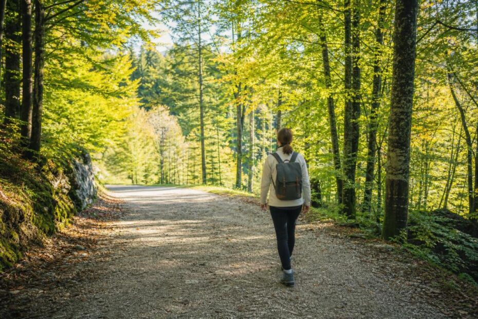 Jesenska hoja po gozdni poti v prvih hladnejših dneh