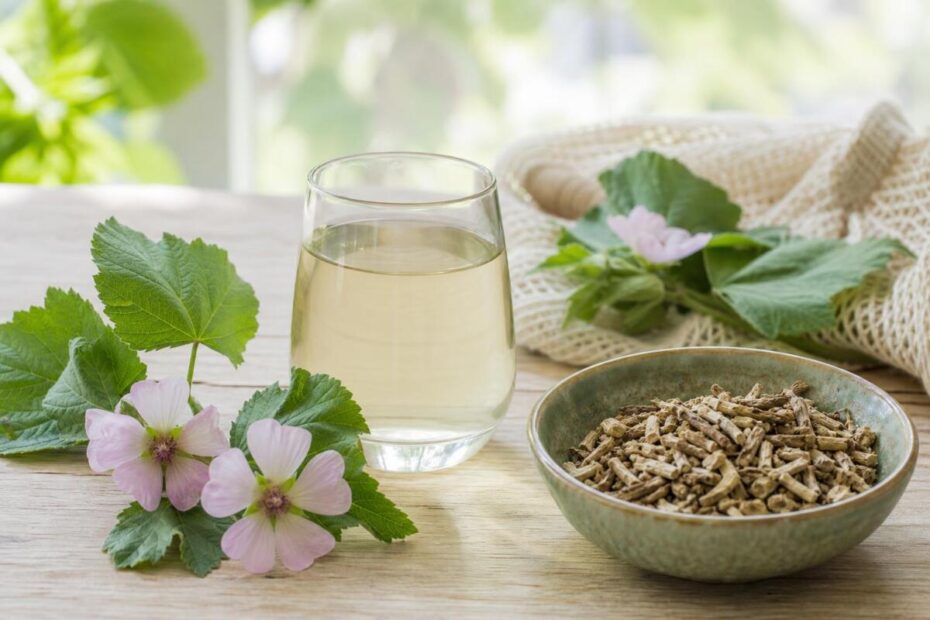 Hladen macerat iz korenine navadnega sleza (Althaea officinalis)
