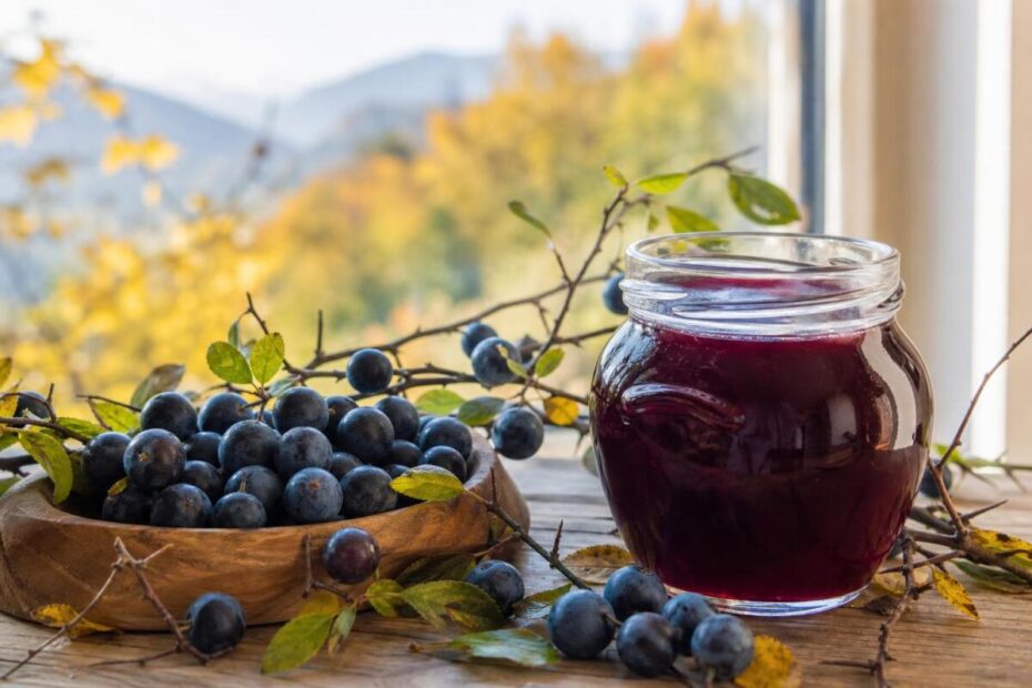 Trnuljev liker in zreli plodovi črnega trna na jesenski mizi